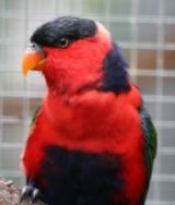2e5d92f2ab