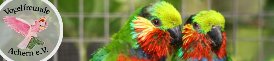 banner2