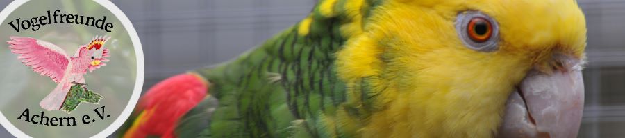 banner3