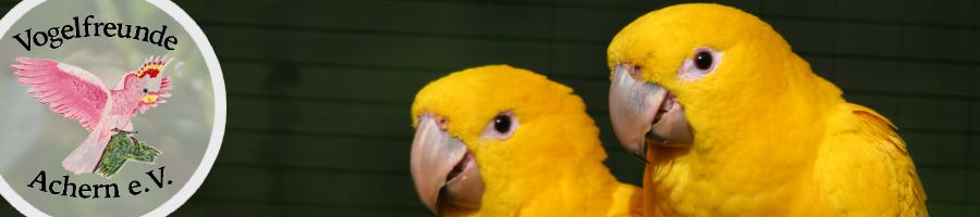 banner4