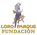 Loro Parque Fundacion