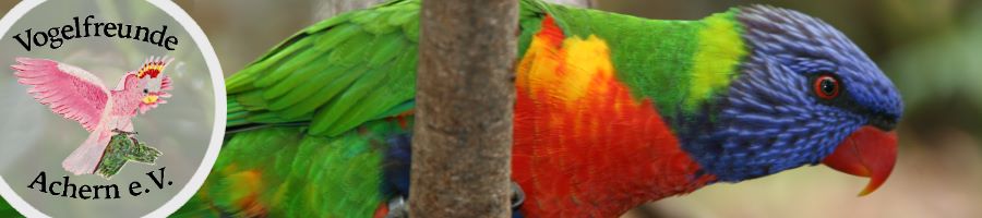 Banner1